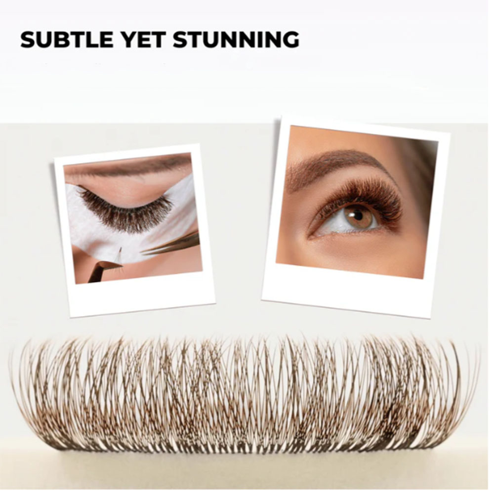 3D 6D 8D Brown Colored 1000 Fa - đánh giá và giá Eyelash Extension Hybrid