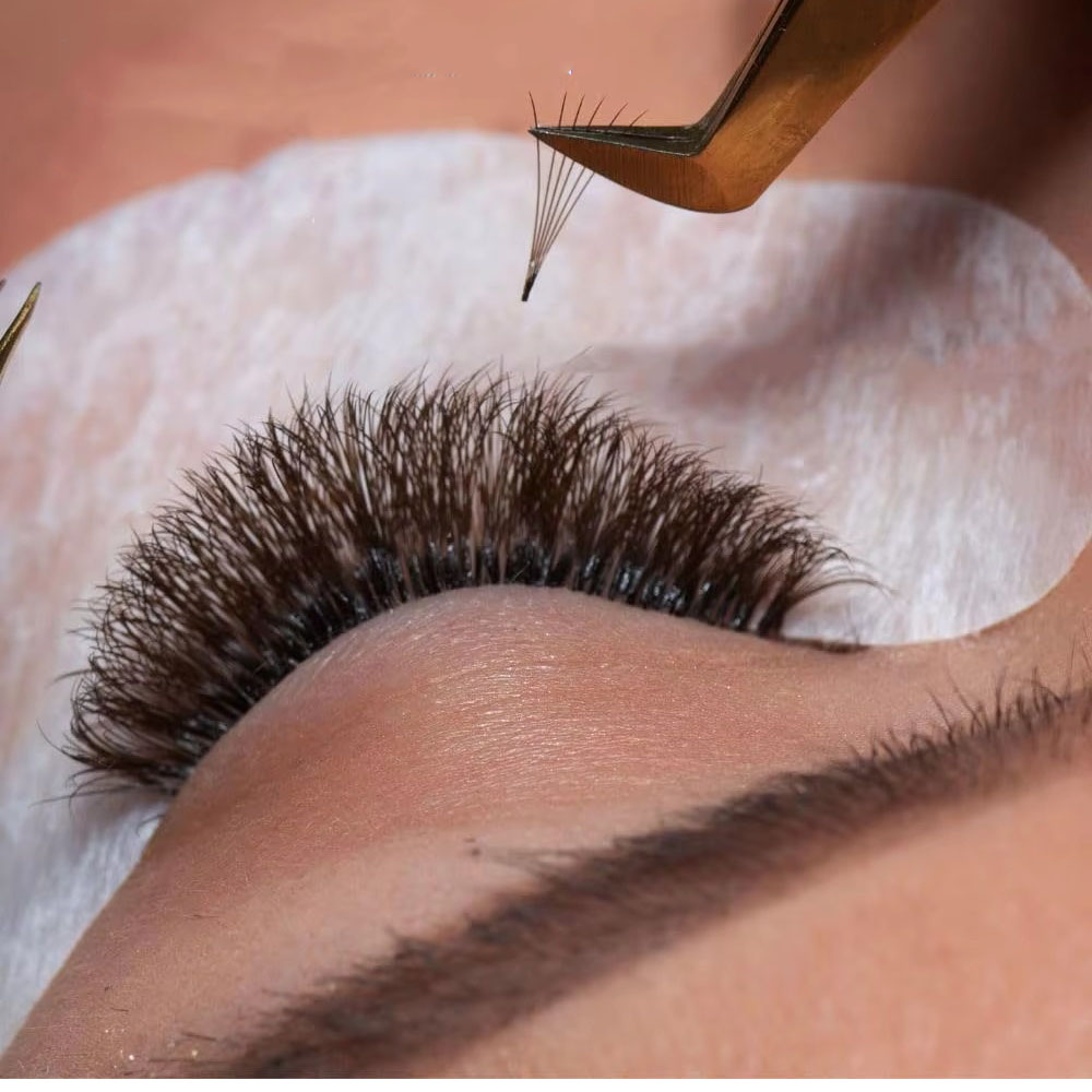 1200Fans 3D 8D 5D Brown Colore - đánh giá và giá Eyelash Extension Hybrid